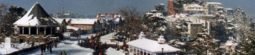 Shimla