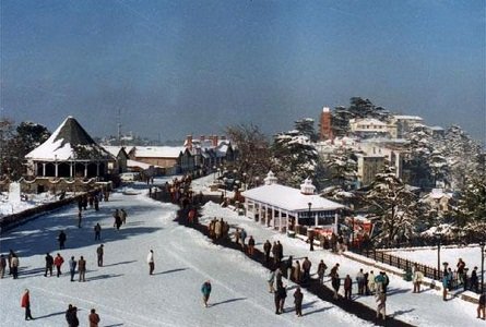 Shimla