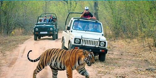 Corbett National Park