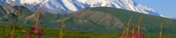 Denali, Alaska