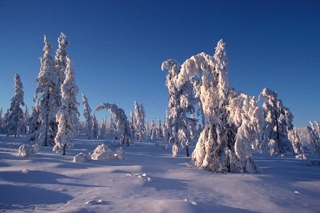 Verkhoyansk - Russia