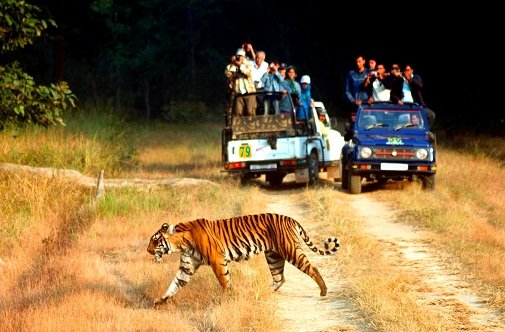 Corbett National Park, Uttarakhand