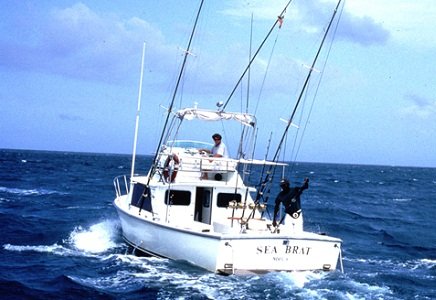 Deep Sea Fishing