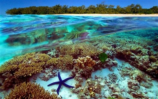 Great Barrier Reef, Australia