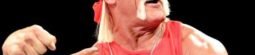 Hulk Hogan