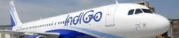 IndiGo