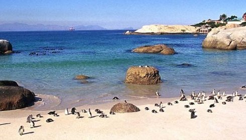 Boulders Beach