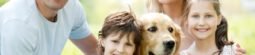 10 Reasons Why Dogs Are the Best Pet Animal