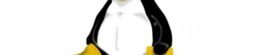 Linux Hosting