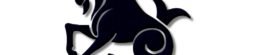 Capricorn Zodiac Sign