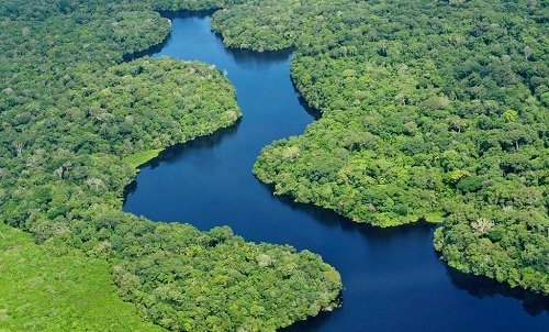 Amazon Rainforest