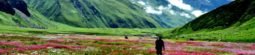 Valley of Flowers