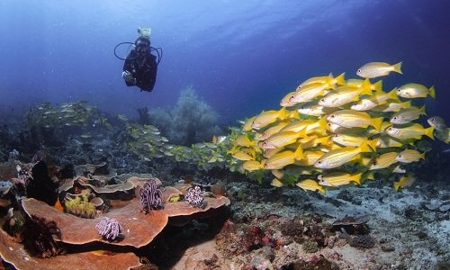 Komodo National Park