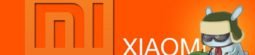 Xiomi