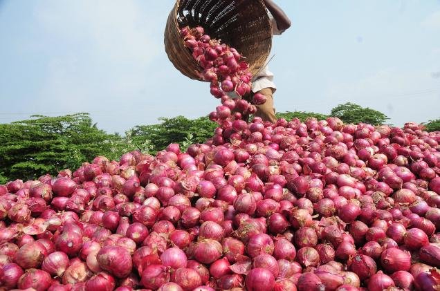 Onion Producing States In India