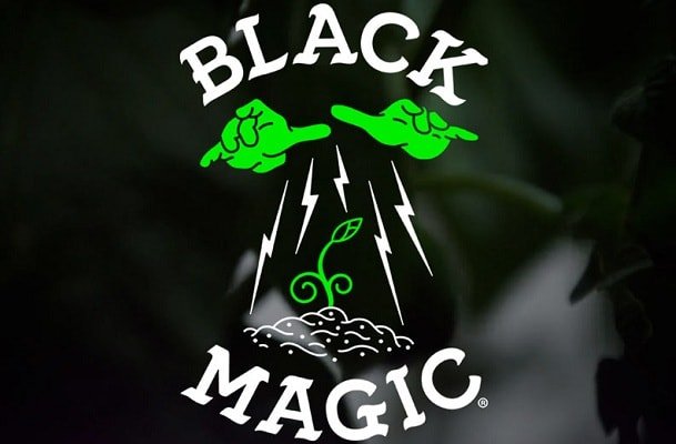 black magic remedy black magic remedy
