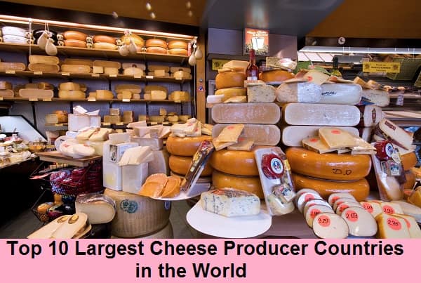 Largest Cheese Producer Countries