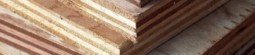 Century Plyboards Ltd