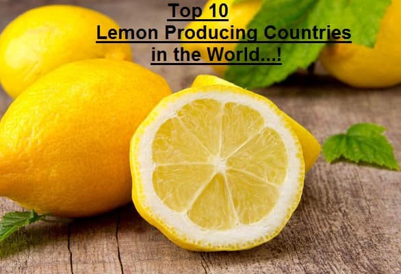 Lemon Producing Countries