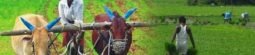 Types of Agriculture in India – Farming History of India