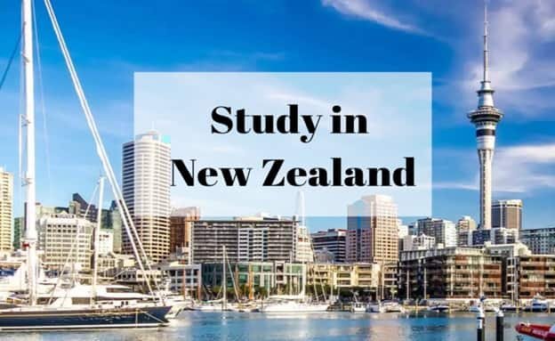 study in new zealand
