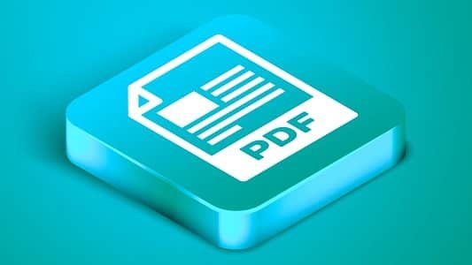 pdf file