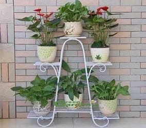 Green Gardenia Iron Plant StandPot Stand