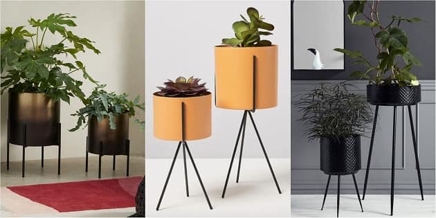 What is a Plant Stand? Its Uses