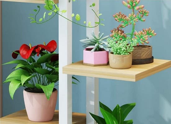 Plant Stand For Home Garden