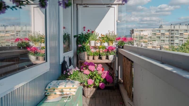 balcony plant stand India