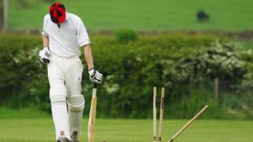 Virtual Cricket