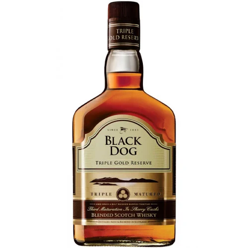 Black Dog