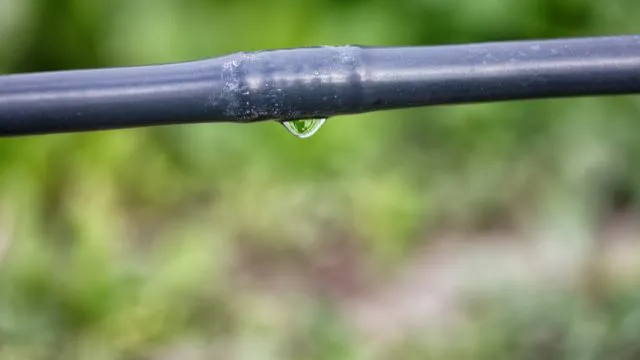 Advantages and Disadvantages Of Drip Irrigation