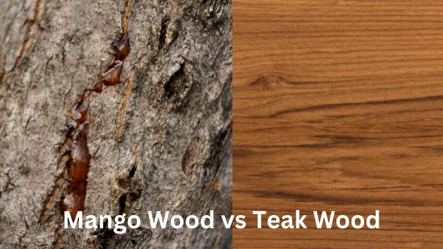 Mango Wood vs Teak Wood