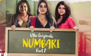 Numbari Web Series