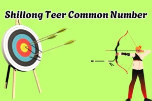 Shillong Teer Common Number