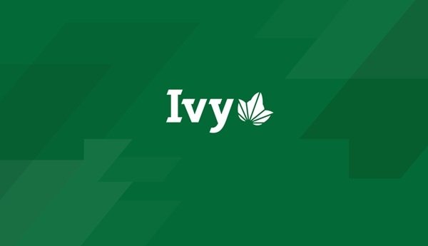 IVY League